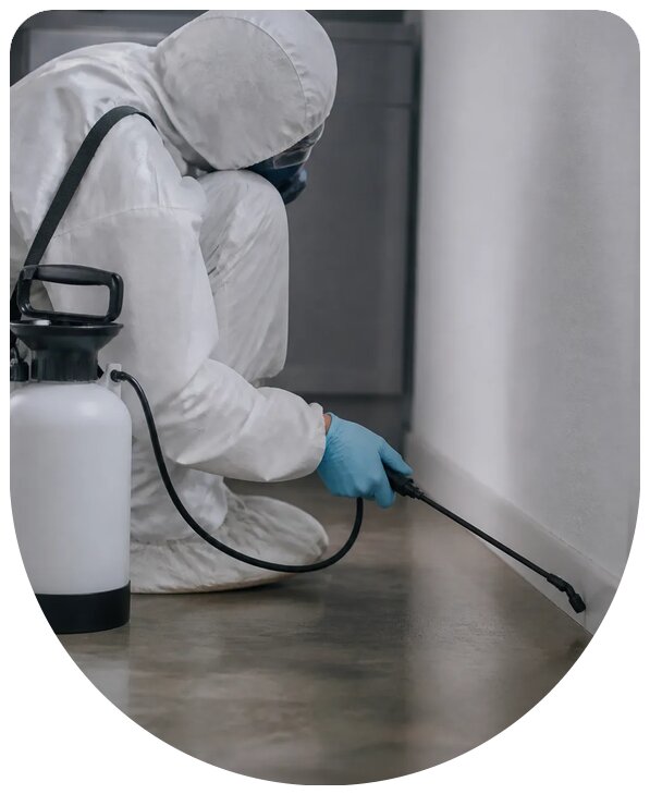 Профессиональные услуги по дезинсекции помещений в Феодосии